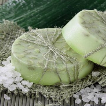 ¿Qué debe contener un champú apto para veganos?
